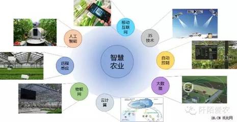 “互联网+农业” 10万亿市场的软件开发机遇